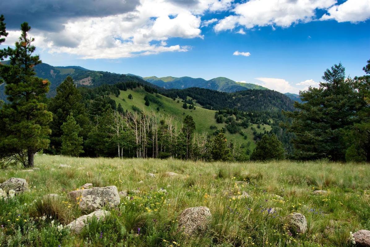 Вилла Sugar Butter Chalet Руидозо Экстерьер фото